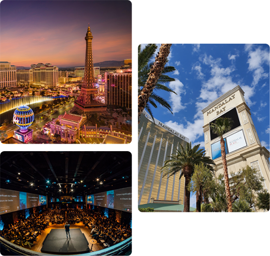 Partner Spotlight: Mandalay Bay Resort